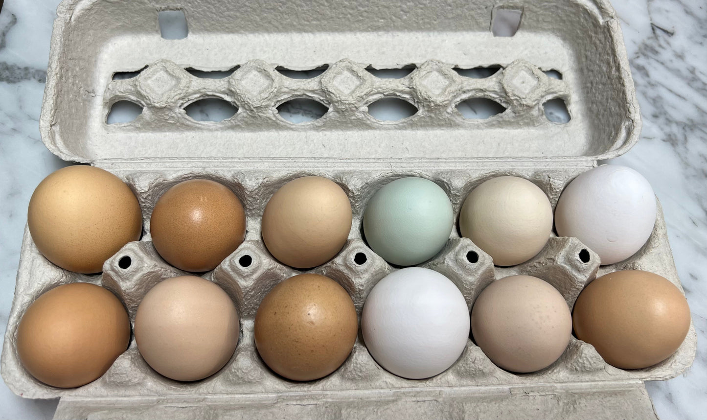 Pasture Raised Hen Eggs